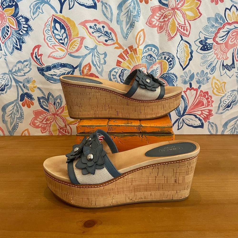 Coach Blue and Tan Wedge Sandals